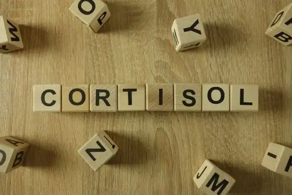 The Hidden Connection: How Stress Shapes Your Fitness and Body Composition 2 Image saying "Cortisol" and how stress Horley impacts your wellbeing and bodies shape